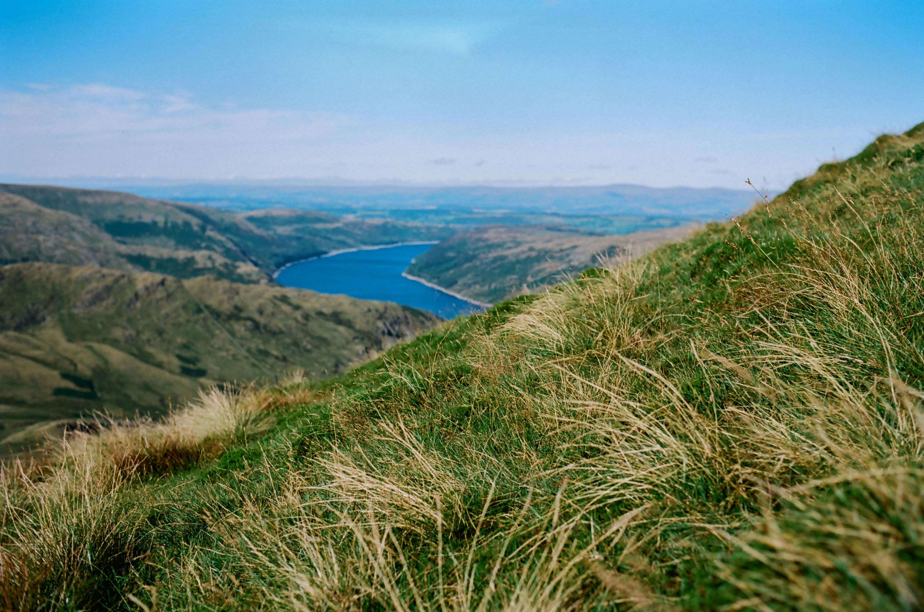 Hillside view