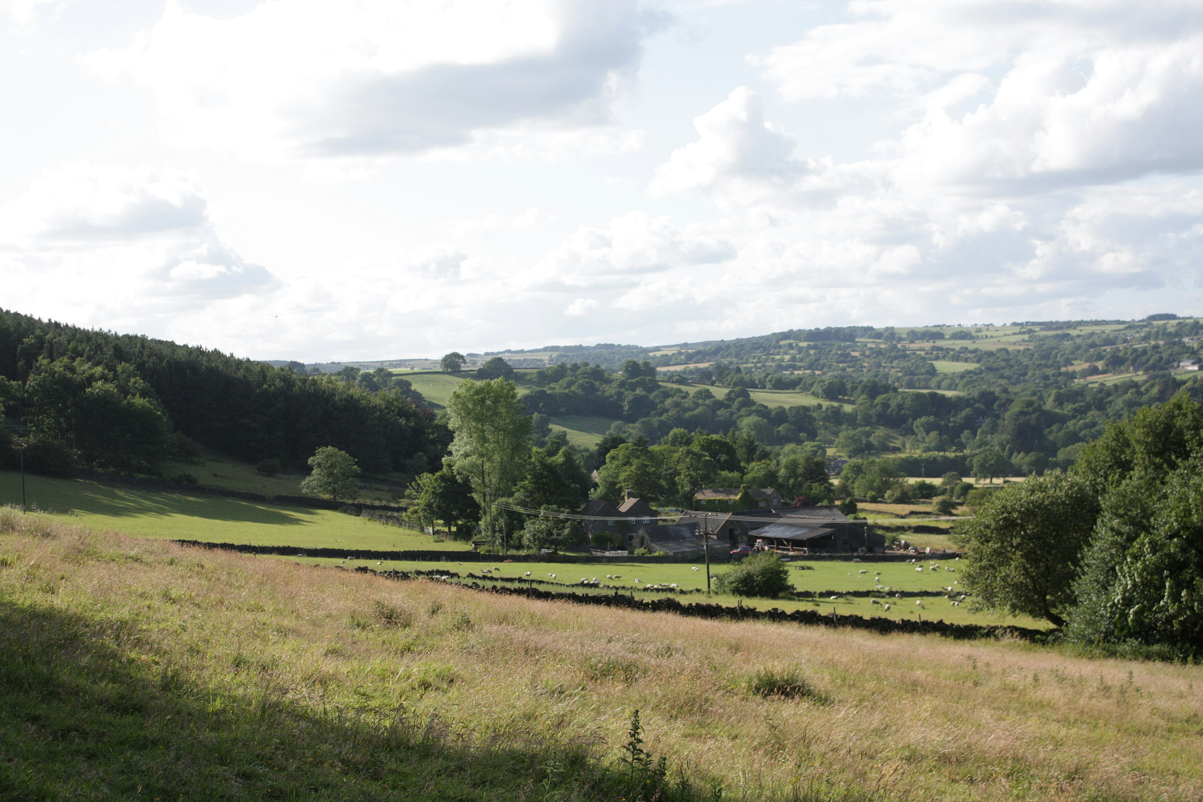 Farm