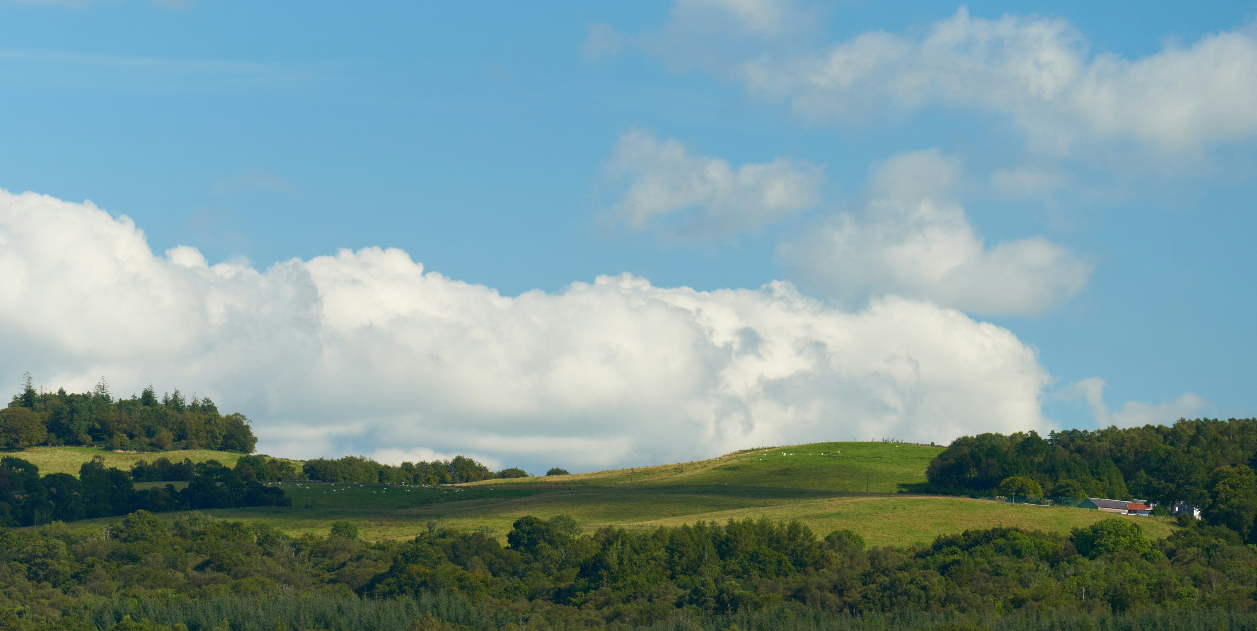 Fields and sky